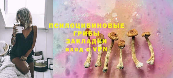 соль ск Вязьма